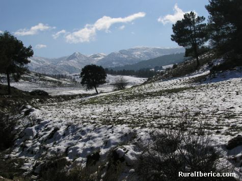  nieve el la sierra tejeda - Mlaga, , Andaluca